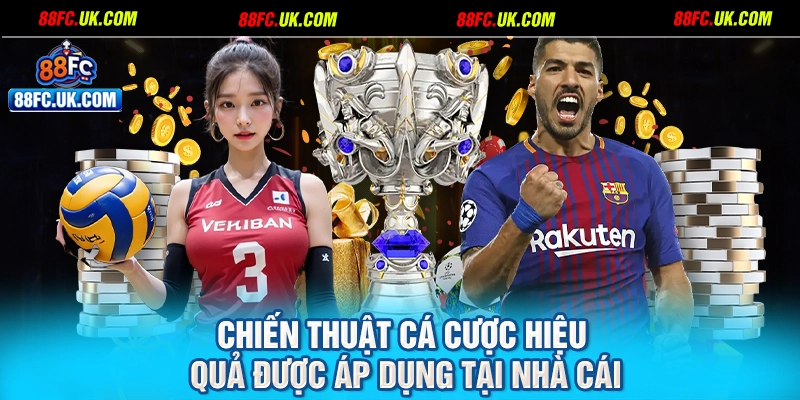 Chiến thuật cá cược hiệu quả được áp dụng tại nhà cái