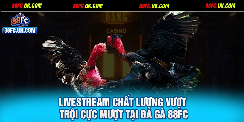 Livestream chất lượng vượt trội cực mượt tại đá gà 88FC